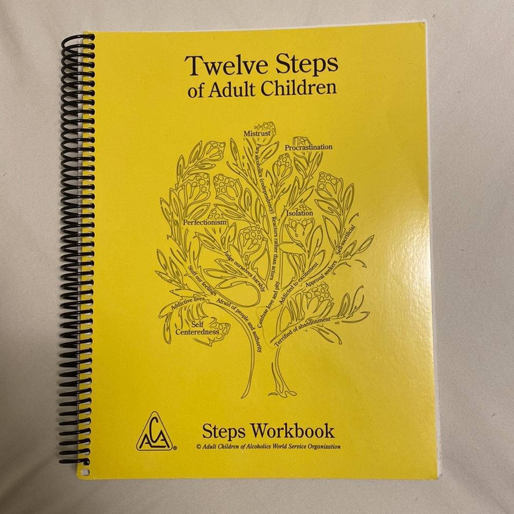12 Steps of Adult Children workbook, brand new